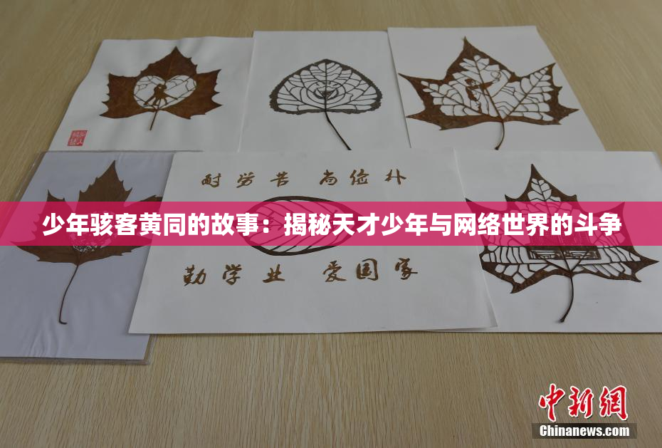 少年骇客黄同的故事：揭秘天才少年与网络世界的斗争