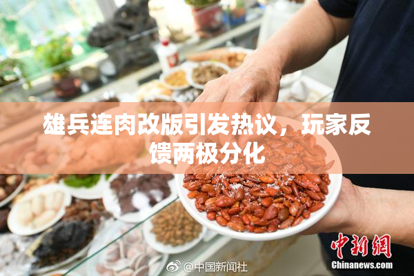 雄兵连肉改版引发热议，玩家反馈两极分化
