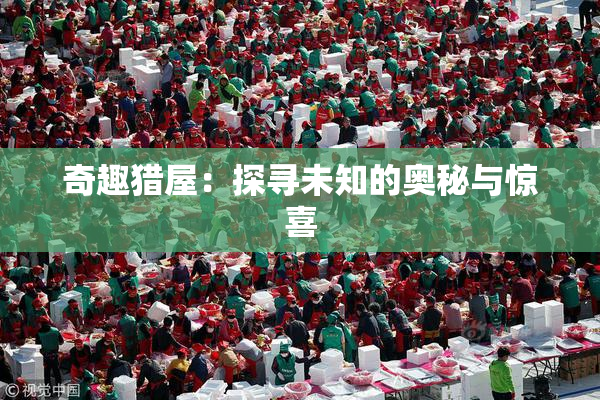 奇趣猎屋：探寻未知的奥秘与惊喜