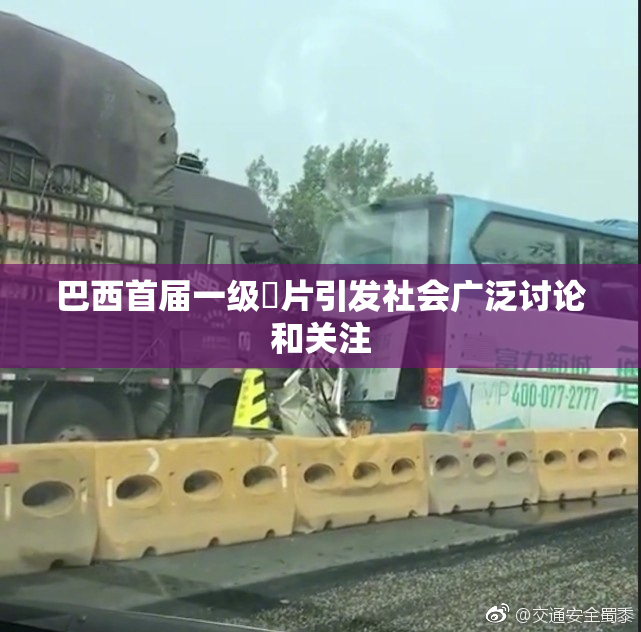巴西首届一级婬片引发社会广泛讨论和关注