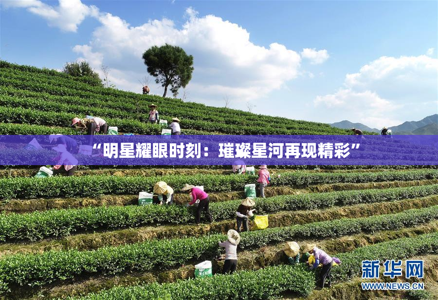 “明星耀眼时刻：璀璨星河再现精彩”