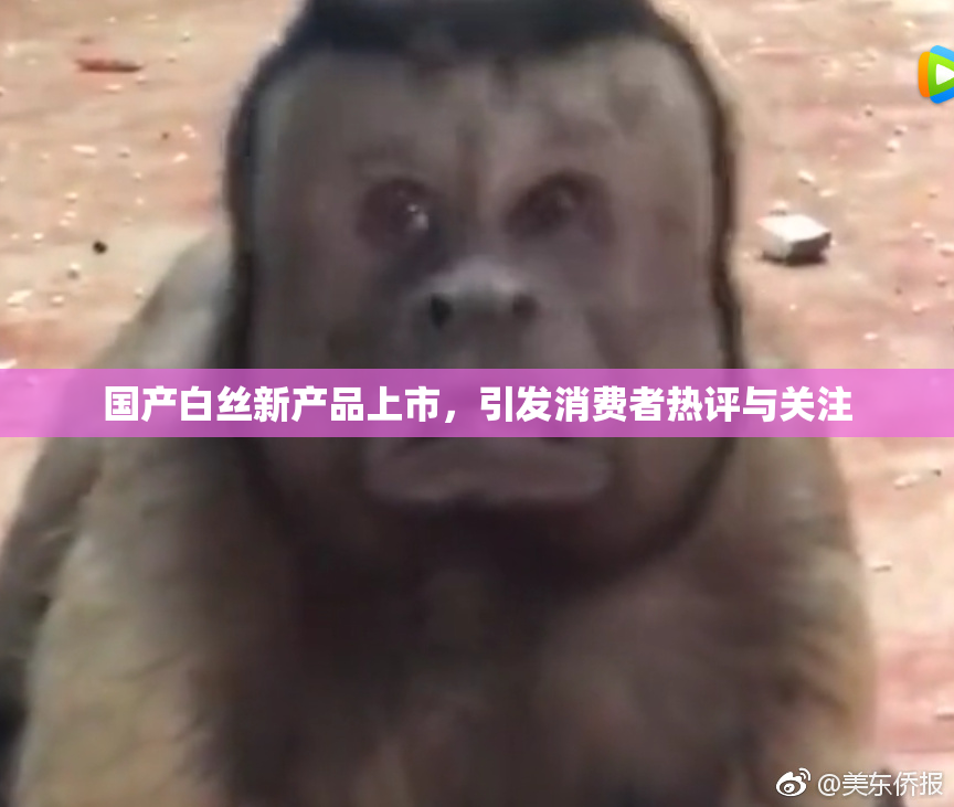 国产白丝新产品上市，引发消费者热评与关注