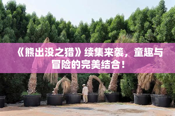 《熊出没之猎》续集来袭，童趣与冒险的完美结合！