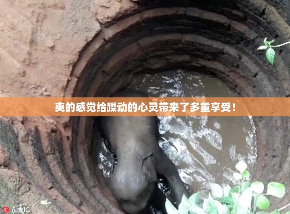 爽的感觉给躁动的心灵带来了多重享受！