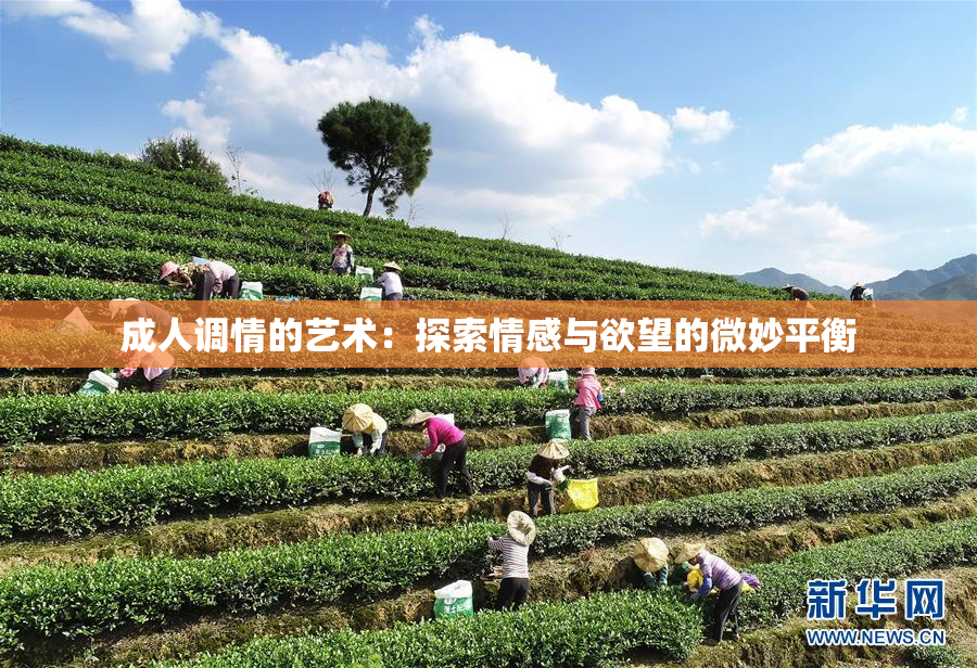 成人调情的艺术：探索情感与欲望的微妙平衡