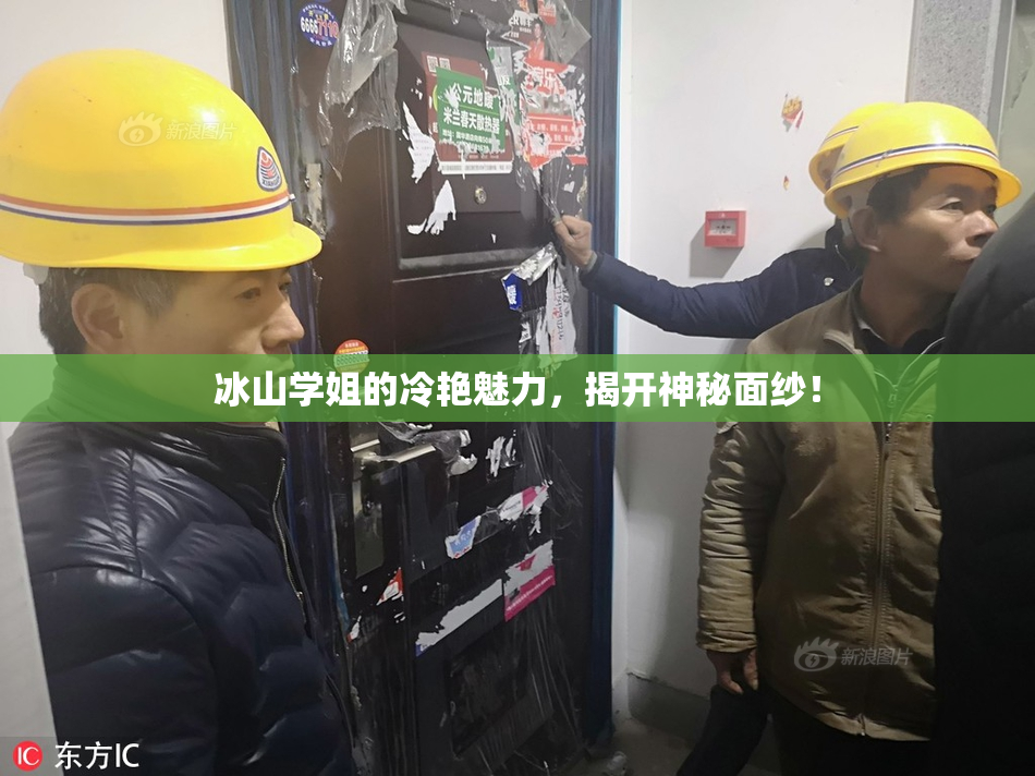 冰山学姐的冷艳魅力，揭开神秘面纱！