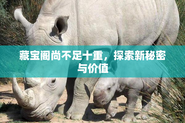 藏宝阁尚不足十重，探索新秘密与价值