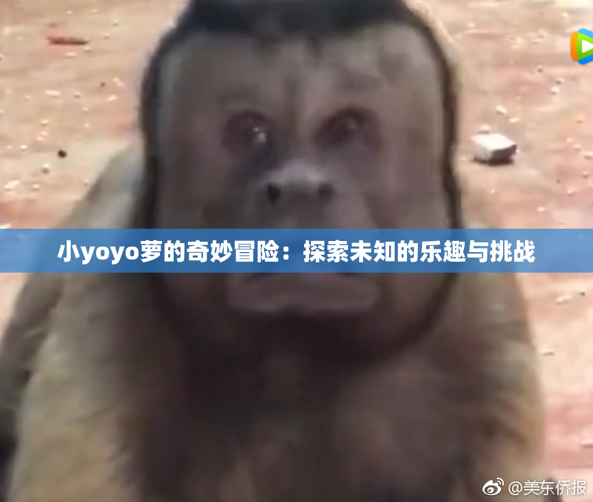 小yoyo萝的奇妙冒险：探索未知的乐趣与挑战