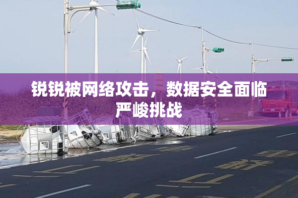 锐锐被网络攻击，数据安全面临严峻挑战