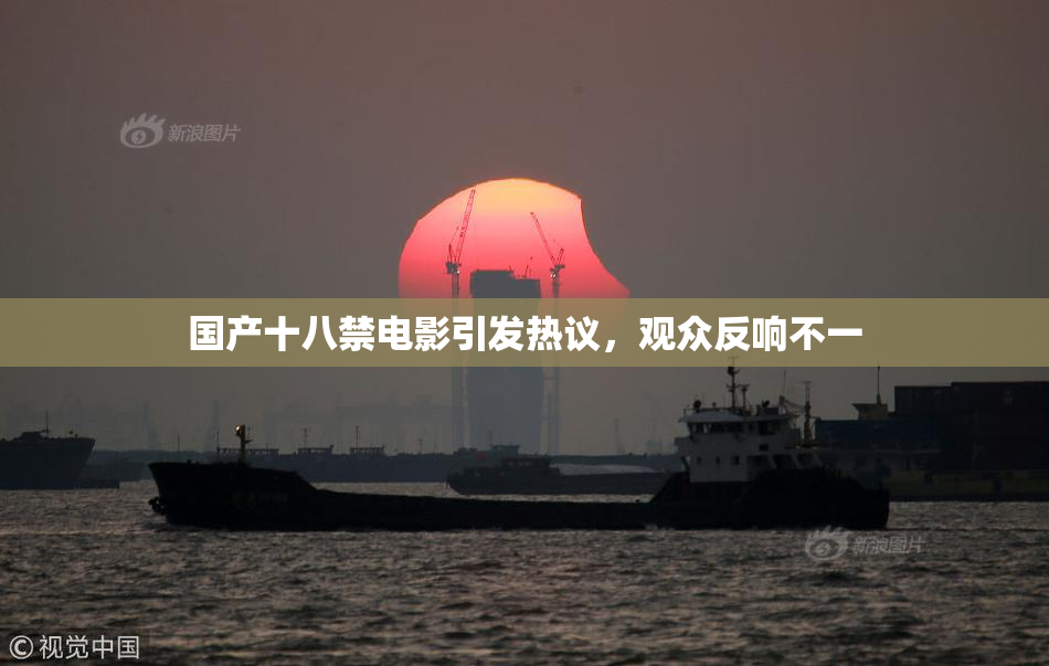 国产十八禁电影引发热议，观众反响不一