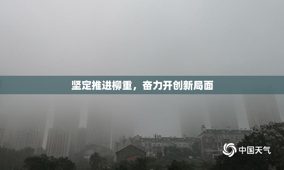 坚定推进柳重，奋力开创新局面
