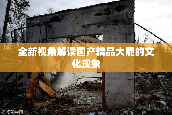 全新视角解读国产精品大屁的文化现象