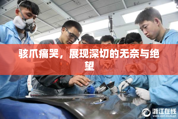 骇爪痛哭，展现深切的无奈与绝望