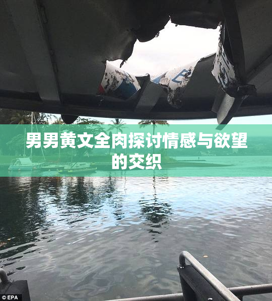男男黄文全肉探讨情感与欲望的交织