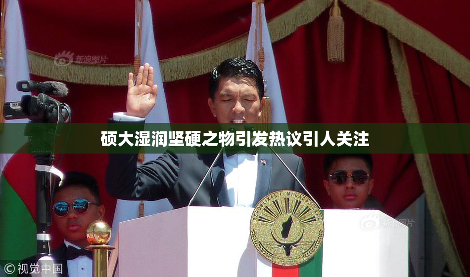 硕大湿润坚硬之物引发热议引人关注