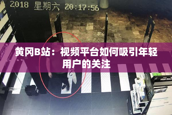 黄冈B站：视频平台如何吸引年轻用户的关注