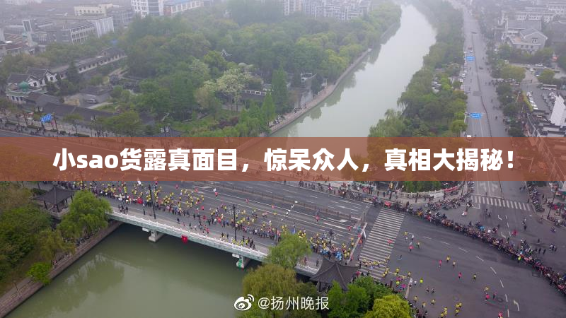 小sao货露真面目，惊呆众人，真相大揭秘！