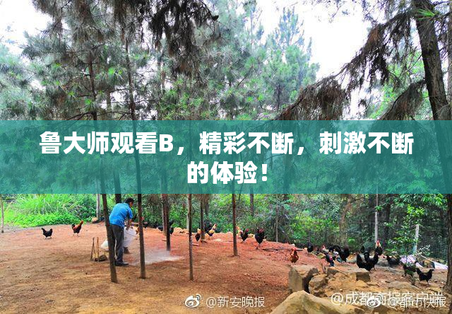 鲁大师观看B，精彩不断，刺激不断的体验！