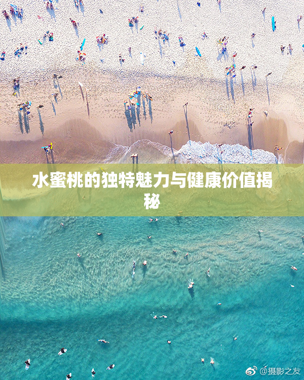 水蜜桃的独特魅力与健康价值揭秘
