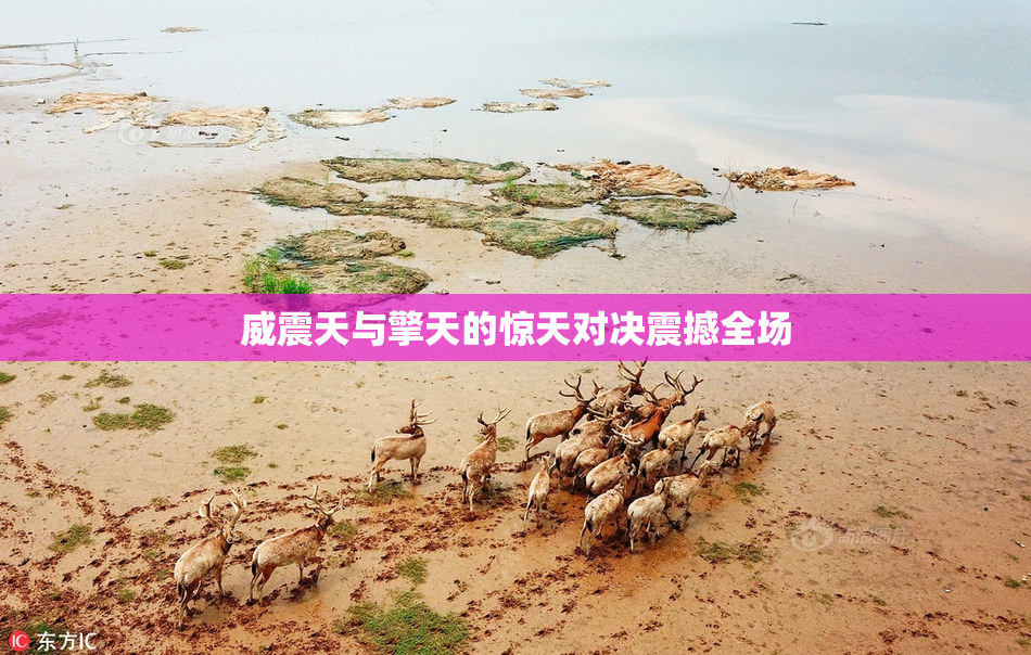 威震天与擎天的惊天对决震撼全场
