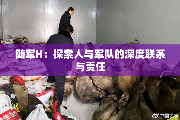 随军H：探索人与军队的深度联系与责任