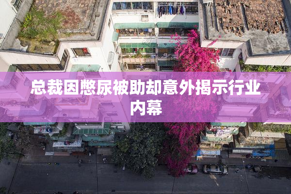 总裁因憋尿被助却意外揭示行业内幕