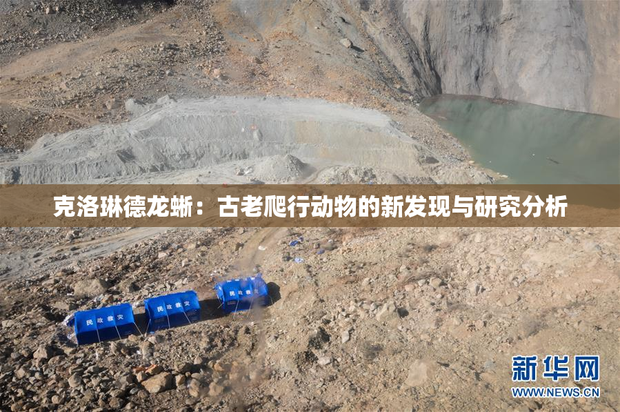 克洛琳德龙蜥：古老爬行动物的新发现与研究分析
