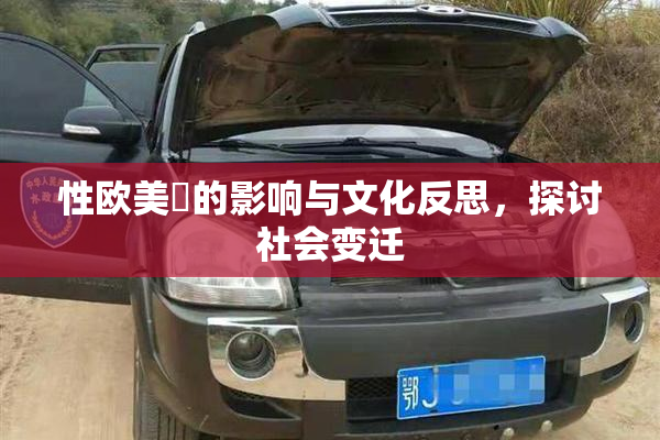 性欧美婬的影响与文化反思，探讨社会变迁