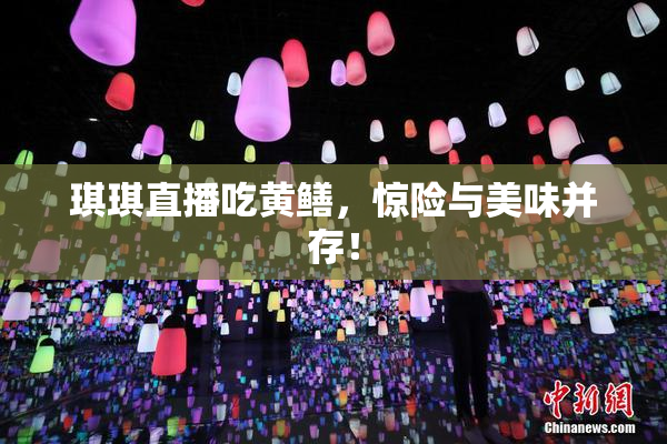 琪琪直播吃黄鳝，惊险与美味并存！