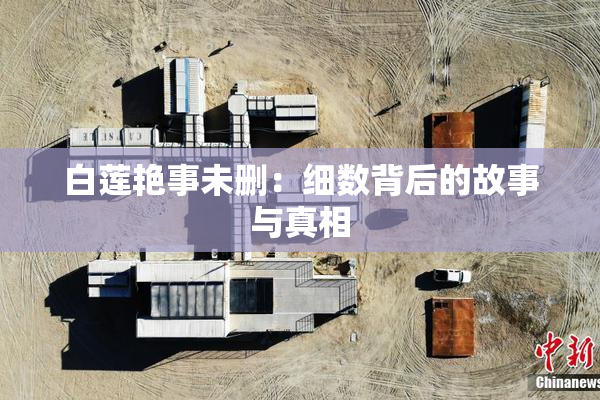 白莲艳事未删：细数背后的故事与真相