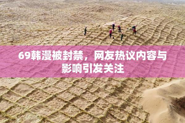 69韩漫被封禁，网友热议内容与影响引发关注