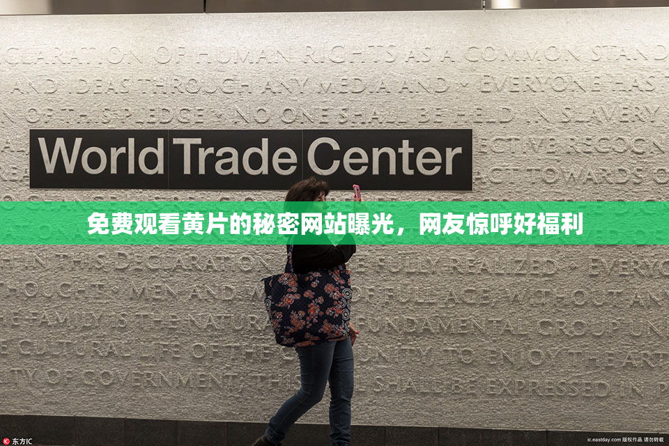 免费观看黄片的秘密网站曝光，网友惊呼好福利