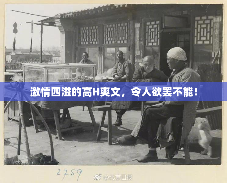 激情四溢的高H爽文，令人欲罢不能！