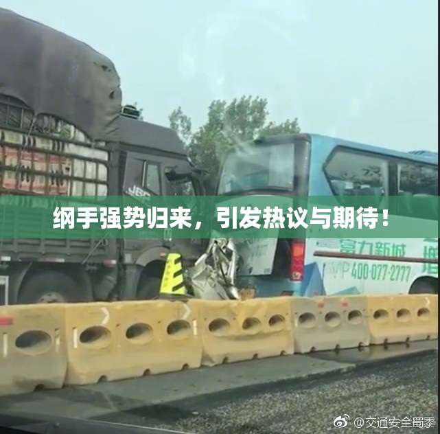 纲手强势归来，引发热议与期待！
