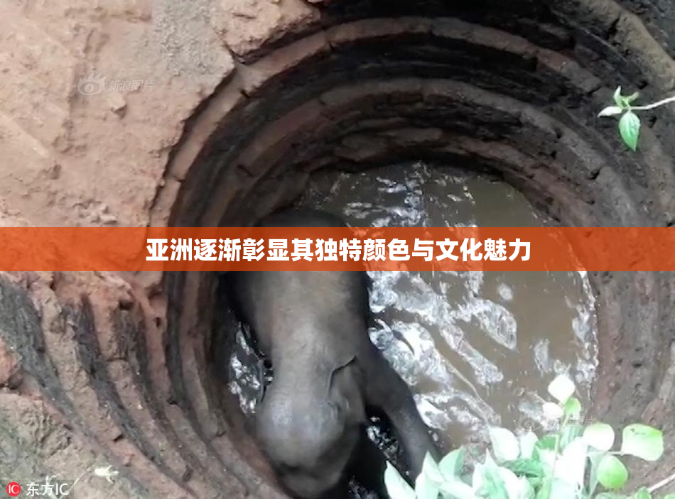 亚洲逐渐彰显其独特颜色与文化魅力
