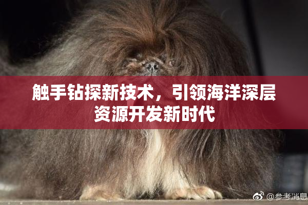 触手钻探新技术，引领海洋深层资源开发新时代