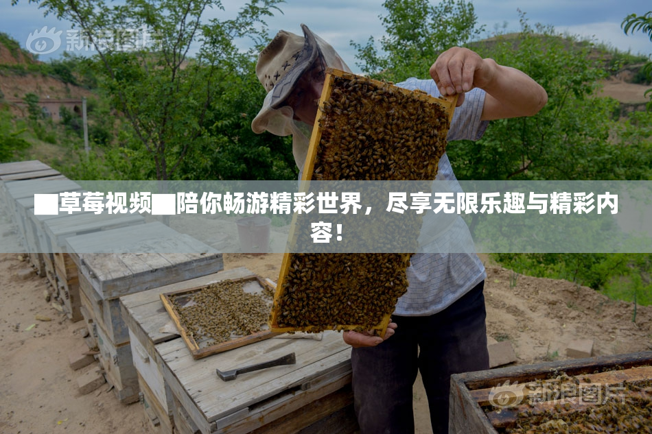▇草莓视频▇陪你畅游精彩世界，尽享无限乐趣与精彩内容！