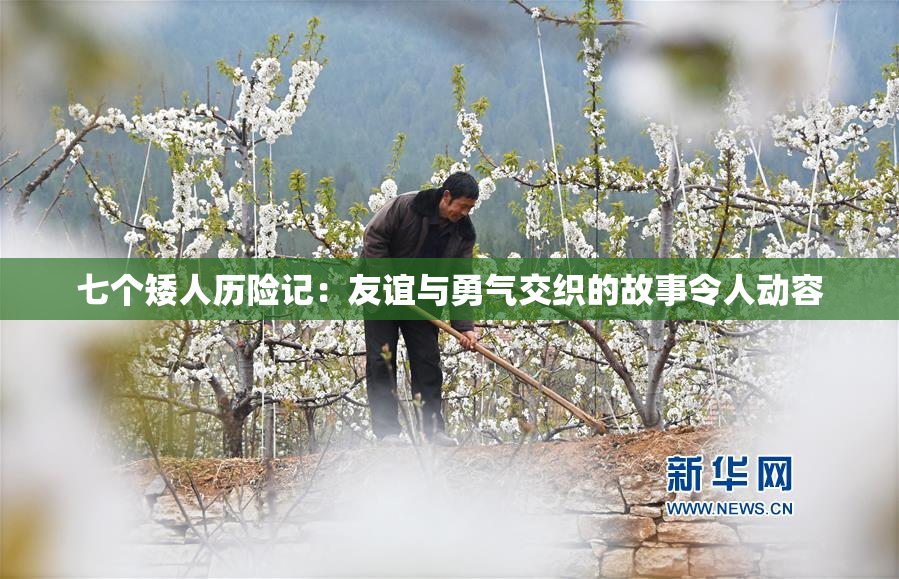 七个矮人历险记：友谊与勇气交织的故事令人动容