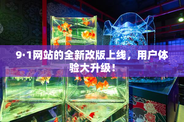 9·1网站的全新改版上线，用户体验大升级！