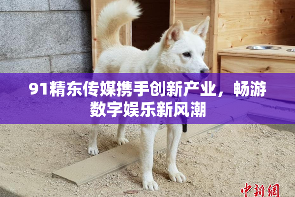 91精东传媒携手创新产业，畅游数字娱乐新风潮