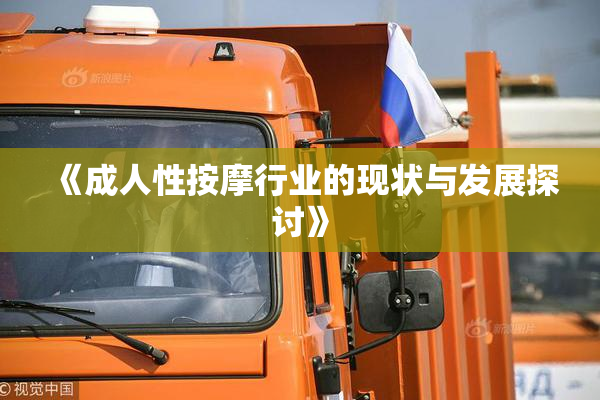 《成人性按摩行业的现状与发展探讨》