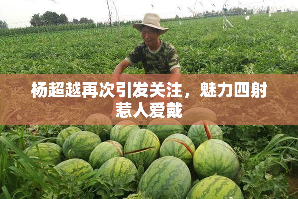 杨超越再次引发关注，魅力四射惹人爱戴
