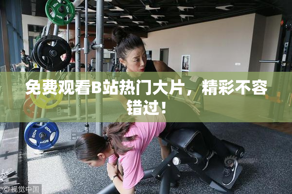 免费观看B站热门大片，精彩不容错过！