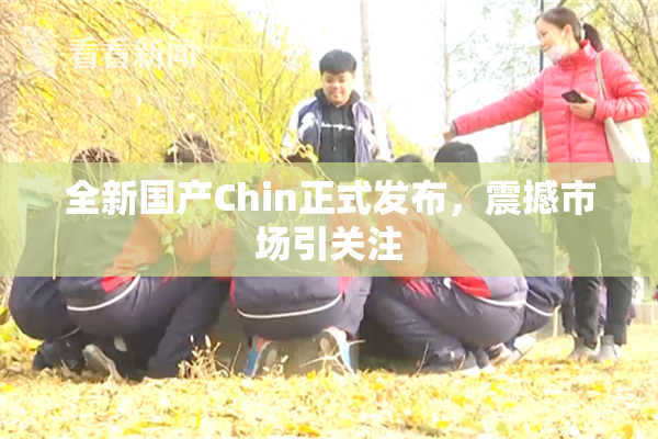 全新国产Chin正式发布，震撼市场引关注
