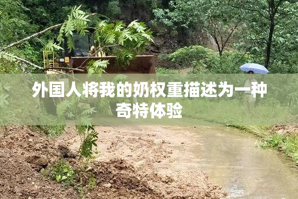 外国人将我的奶权重描述为一种奇特体验