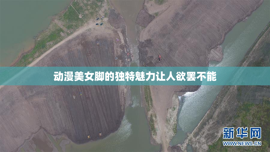 动漫美女脚的独特魅力让人欲罢不能