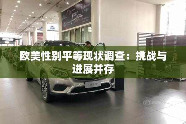 欧美性别平等现状调查：挑战与进展并存