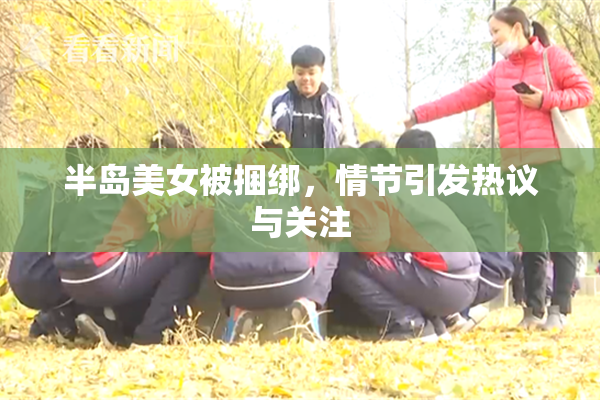 半岛美女被捆绑，情节引发热议与关注