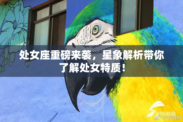 处女座重磅来袭，星象解析带你了解处女特质！