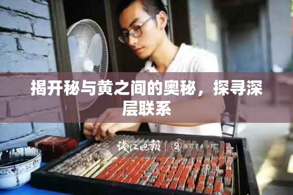 揭开秘与黄之间的奥秘，探寻深层联系